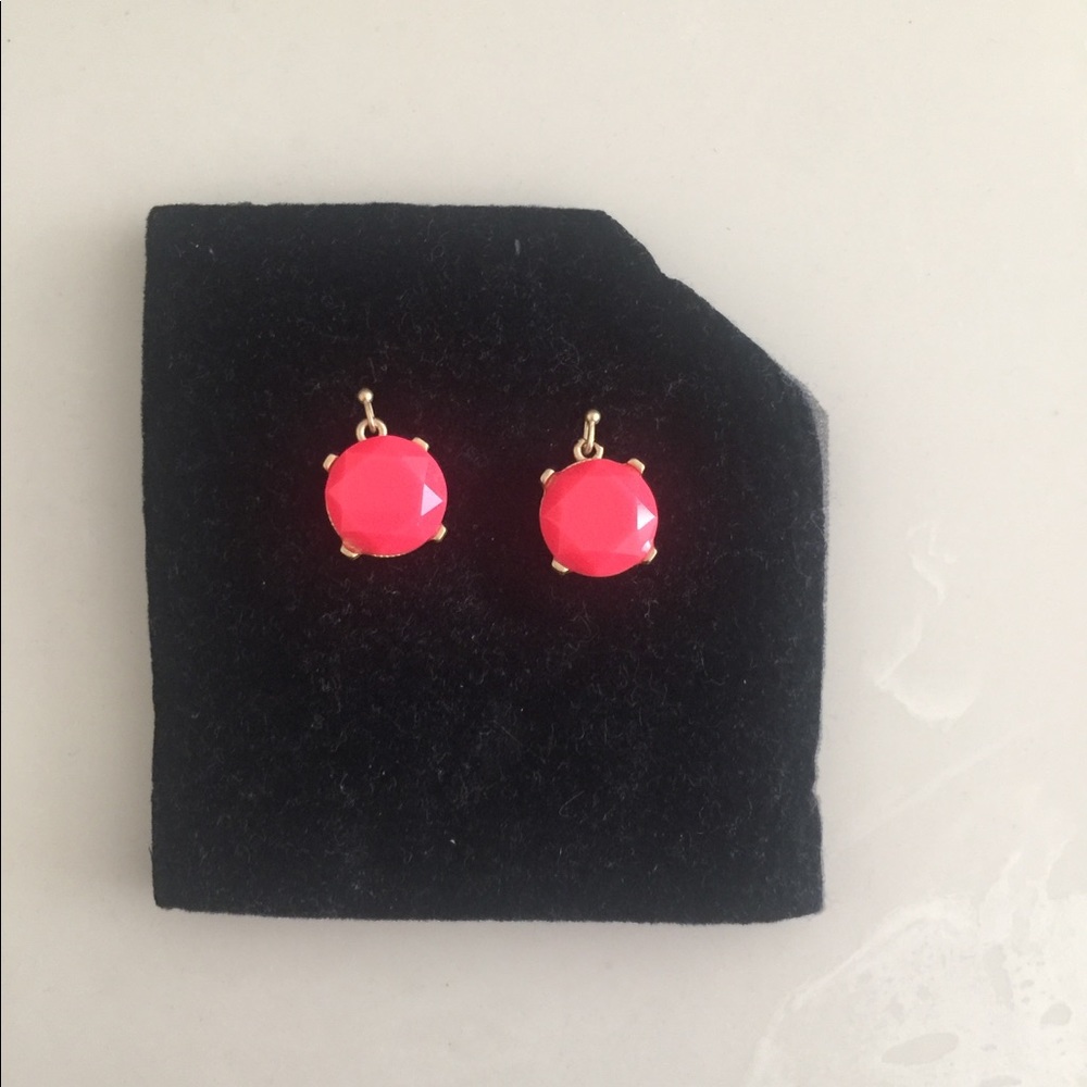New Hot coral pink earrings
